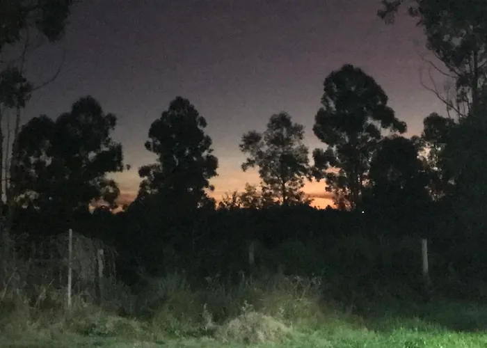 Campo Verde